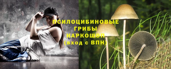 дурь Балахна