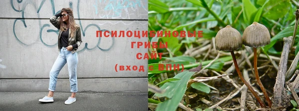 мет Баксан