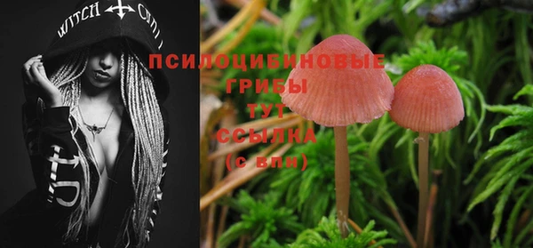 дурь Балахна