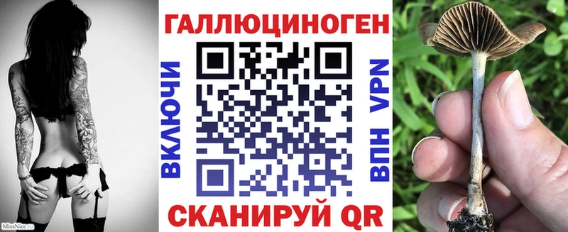 даркнет сайт  Балахна  Псилоцибиновые грибы Psilocybe 